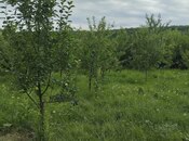 İcarəyə verilir 3 otaqlı həyət evi/bağ evi 135 m², photo 3 from 8