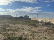 İcarəyə verilir  obyekt 10 000 m², Binə q., photo 3 from 4