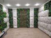 Продаётся  объект 1 250 м², м. Дернегюль, photo 3 from 8