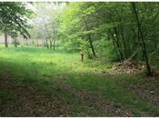 Продаётся  участок 60 сот, photo 6 from 6