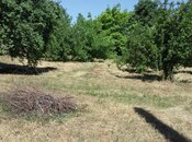 Продаётся  участок 60 сот, photo 4 from 6