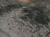 Satılır  torpaq 6 sot, Türkan q., photo 2 from 3