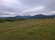 Satılır  torpaq 12 sot, photo 7 from 8