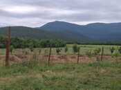 Satılır  torpaq 12 sot, photo 4 from 8