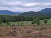 Satılır  torpaq 12 sot, photo 5 from 8