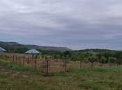 Satılır  torpaq 12 sot, photo 2 from 8