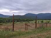 Elan №5907174 - Şabran, Şabran, 12 sot