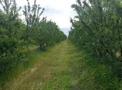 Продаётся  участок 12 сот, photo 2 from 5