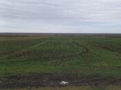 Elan №5907688 - Şabran, Şabran, 470 sot