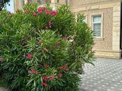 Продаётся 7-комн. дом/дача 390.7 м², пос. Мардакан, photo 5 from 8