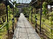 Продаётся 7-комн. дом/дача 390.7 м², пос. Мардакан, photo 8 from 8