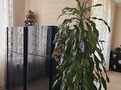 7-комн. новостройка - м. Низами - 373 м²