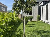 Elan №5908318 - Balakən, Balakən, 2 otaqlı, 90 m²