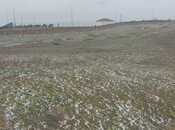 Satılır  torpaq 110 sot, Saray q., photo 1 from 5