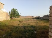 Elan №5909017 - Bakı, Binə q., 10 sot