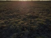 Satılır  torpaq 100 sot, Xaçmaz r., photo 3 from 3