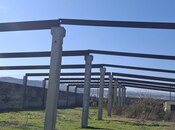 Elan №5909119 - Şabran, Şabran, 160 sot