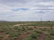 Satılır  torpaq 12 sot, photo 7 from 7