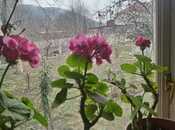 Сдаётся 3-комн. дом/дача 100 м², photo 3 from 8