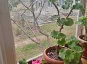 Сдаётся 3-комн. дом/дача 100 м², photo 2 from 8