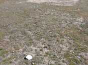 Объявление №5909610 - Баку, пос. Вишнёвка, 6 сот