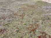 Продаётся  участок 6 сот, пос. Вишнёвка, photo 7 from 8