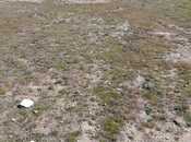 Продаётся  участок 6 сот, пос. Вишнёвка, photo 5 from 8