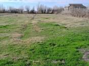 Elan №5909900 - Salyan, Salyan, 70 sot