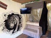 Сдаётся  объект 60 м², м. Низами, photo 6 from 8