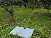 Satılır 6 otaqlı həyət evi/bağ evi 300 m², Xaçmaz r., photo 7 from 8