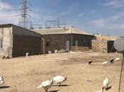 Elan №5911078 - Bakı, Qobu q., 20000 m²