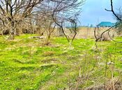 Продаётся  участок 8 сот, пос. Ази Асланова, photo 5 from 5