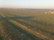 Elan №5911526 - Bakı, Kürdəxanı q., 21000 sot