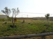 Elan №5911531 - Sumqayıt, Sumqayıt, 1240 sot