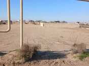 Satılır  torpaq 8 sot, Nardaran q., photo 2 from 5