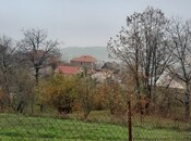 Elan №5911604 - İsmayıllı, İsmayıllı, 8 sot