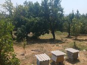 Продаётся 6-комн. дом/дача 232 м², photo 5 from 8