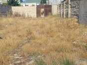 Сдаётся  участок 3 сот, пос. Бина, photo 4 from 4