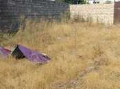 Сдаётся  участок 3 сот, пос. Бина, photo 2 from 4