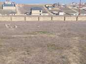 Продаётся  участок 800 сот, пос. Кобу, photo 4 from 4