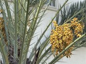 Продаётся 3-комн. дом/дача 200 м², Хатаинский р., photo 3 from 8