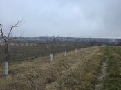 Satılır  torpaq 1 500 sot, photo 5 from 8