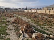 Satılır  torpaq 12 sot, Pirəkəşkül q., photo 5 from 5