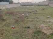 Elan №5913124 - Bakı, Binə q., 5 sot