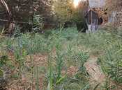 Satılır  torpaq 8 sot, photo 5 from 8