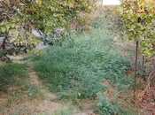 Satılır  torpaq 8 sot, photo 7 from 8