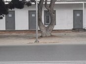 Satılır  obyekt 480 m², Maştağa q., photo 2 from 8