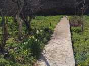 Satılır  torpaq 6 sot, Qaraçuxur q., photo 3 from 8