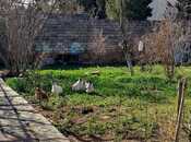 Satılır  torpaq 6 sot, Qaraçuxur q., photo 2 from 8