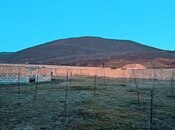 Elan №5914254 - İsmayıllı, İsmayıllı, 1200 sot